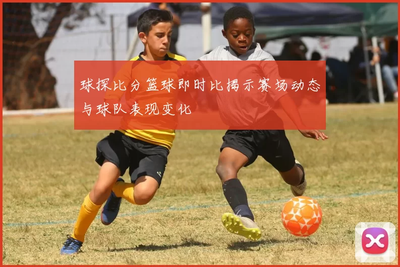 球探比分篮球即时比揭示赛场动态与球队表现变化