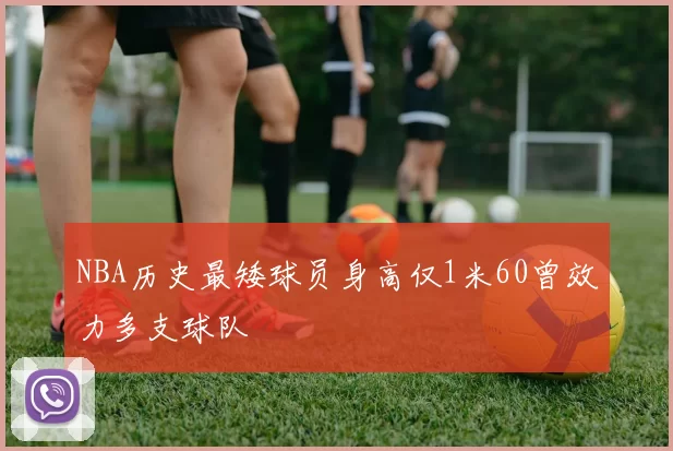 NBA历史最矮球员身高仅1米60曾效力多支球队