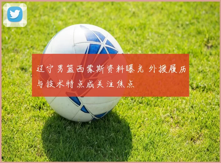 辽宁男篮西蒙斯资料曝光 外援履历与技术特点成关注焦点