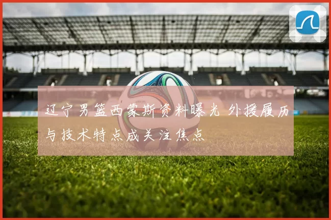 辽宁男篮西蒙斯资料曝光 外援履历与技术特点成关注焦点