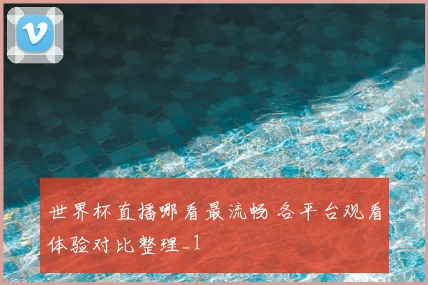 世界杯直播哪看最流畅 各平台观看体验对比整理_1