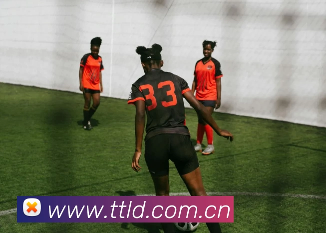 多媒体互动体验